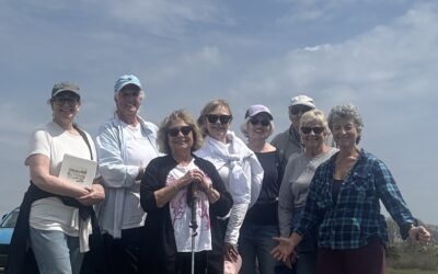 Senior Walking Group Begins April 2025!